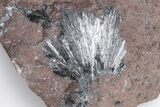 Metallic, Needle-Like Pyrolusite Crystals - Morocco #204356-2